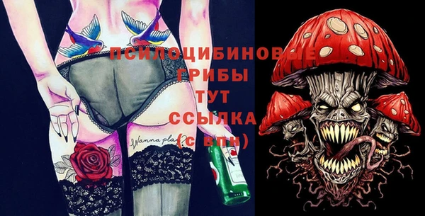 прущие крисы Беломорск