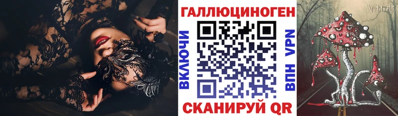 закладки  Ясногорск  дарк нет Telegram  Галлюциногенные грибы Psilocybine cubensis 