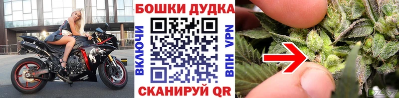 купить наркоту  ссылка на мегу как войти  МАРИХУАНА индика  Ясногорск 